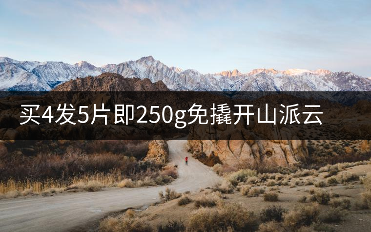 買(mǎi)4發(fā)5片即250g免撬開(kāi)山派云南純料老熟普茶葉黑茶 普洱茶熟茶磚 買(mǎi)4發(fā)5片即250g免撬開(kāi)山派云南純料老熟普茶葉黑茶 普洱茶熟茶磚