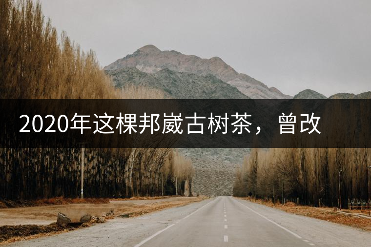 2020年這棵邦崴古樹茶，曾改寫普洱茶歷史！-易武中聘號