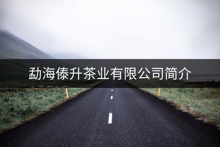 勐海傣升茶業(yè)有限公司簡(jiǎn)介