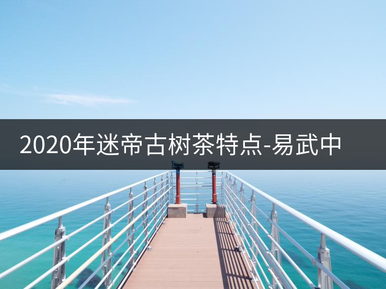 2020年迷帝古樹茶特點-易武中聘號 2020年迷帝古樹茶特點-易武中聘號