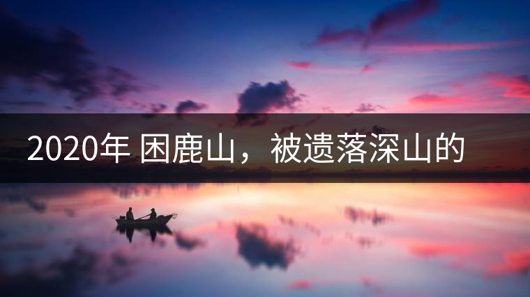 2020年 困鹿山，被遺落深山的皇家古茶園-易武中聘號