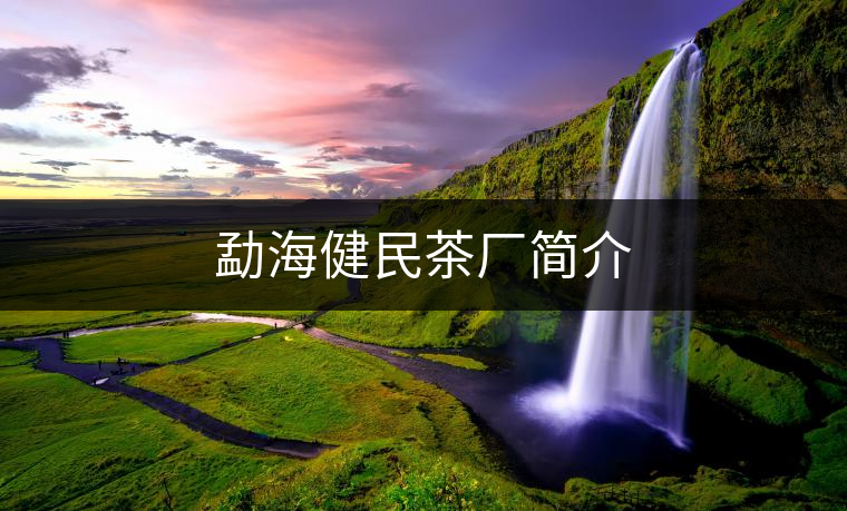 勐海健民茶廠簡(jiǎn)介