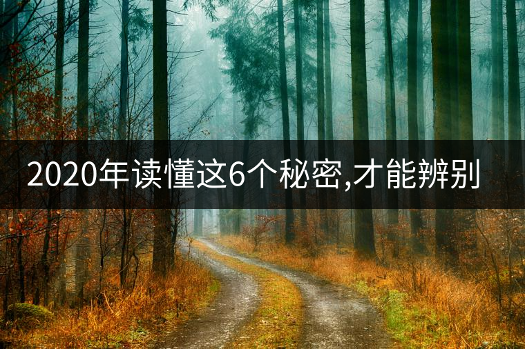 2020年讀懂這6個秘密,才能辨別真假老班章!-易武中聘號 2020年讀懂這6個秘密,才能辨別真假老班章!-易武中聘號