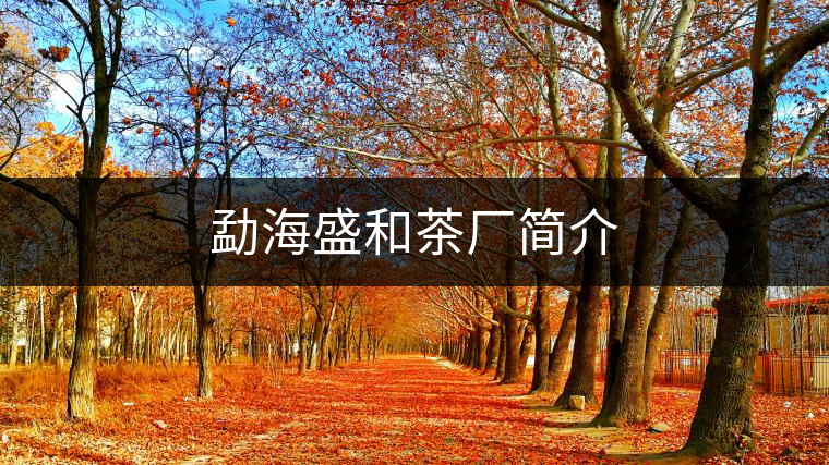 勐海盛和茶廠簡介 勐海盛和茶廠簡介