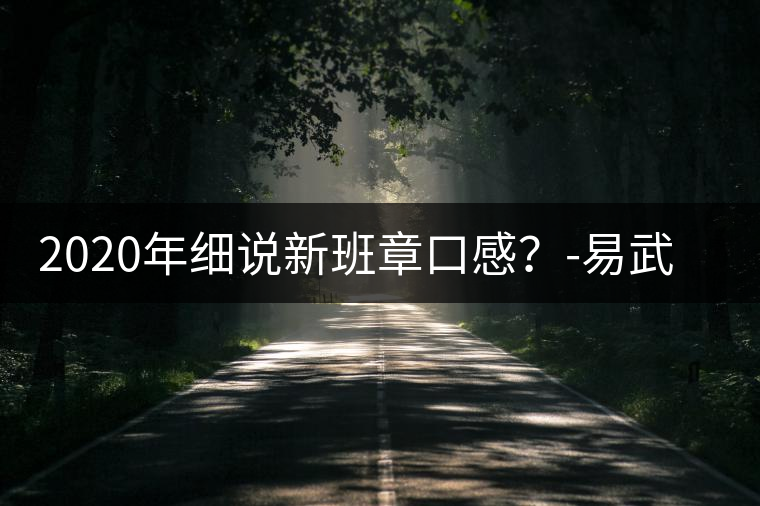 2020年細說新班章口感?-易武中聘號 2020年細說新班章口感?-易武中聘號