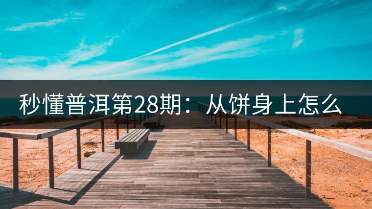 秒懂普洱第28期：從餅身上怎么辨識干倉與濕倉 普洱茶？