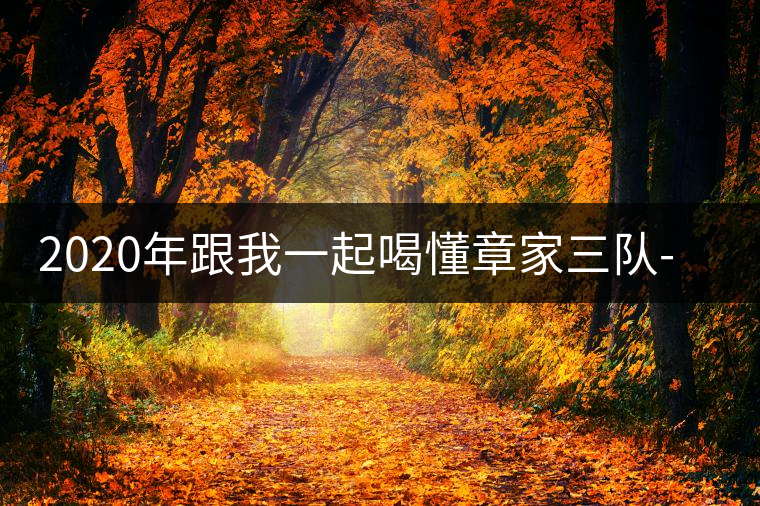 2020年跟我一起喝懂章家三隊-易武中聘號 2020年跟我一起喝懂章家三隊-易武中聘號