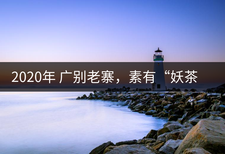 2020年 廣別老寨，素有“妖茶”之稱-易武中聘號(hào)