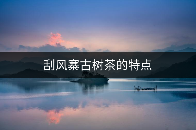 刮風(fēng)寨古樹茶的特點(diǎn) 刮風(fēng)寨古樹茶的特點(diǎn)