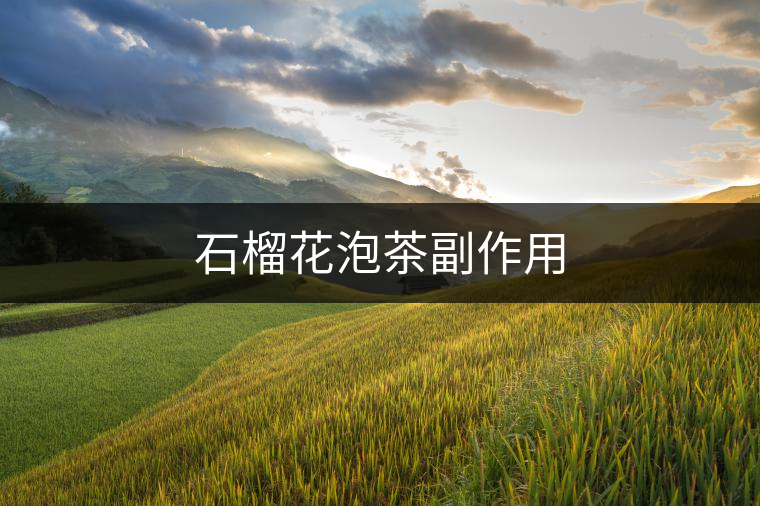 石榴花泡茶副作用