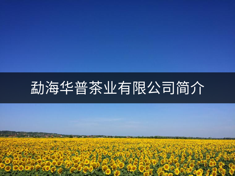 勐海華普茶業(yè)有限公司簡(jiǎn)介 勐海華普茶業(yè)有限公司簡(jiǎn)介
