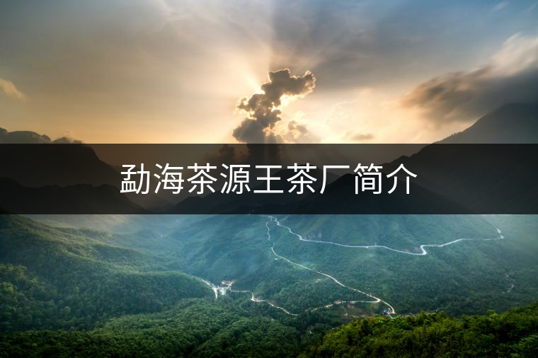 勐海茶源王茶廠簡介 勐海茶源王茶廠簡介