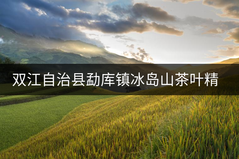 雙江自治縣勐庫(kù)鎮(zhèn)冰島山茶葉精制廠(chǎng)簡(jiǎn)介