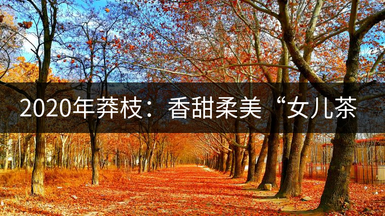 2020年莽枝:香甜柔美“女兒茶”-易武中聘號(hào) 2020年莽枝:香甜柔美“女兒茶”-易武中聘號(hào)