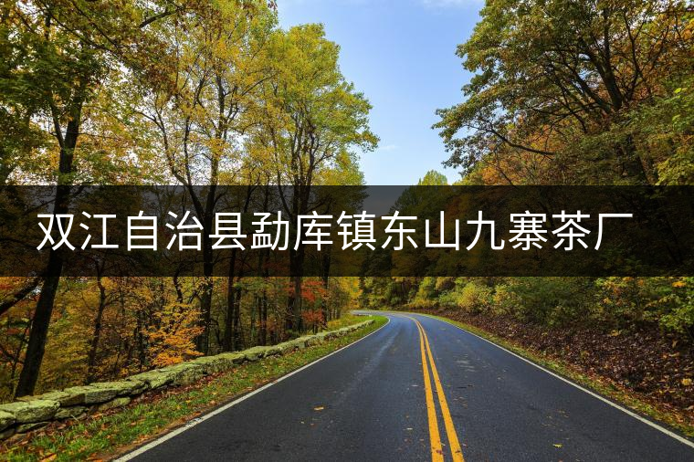 雙江自治縣勐庫(kù)鎮(zhèn)東山九寨茶廠簡(jiǎn)介