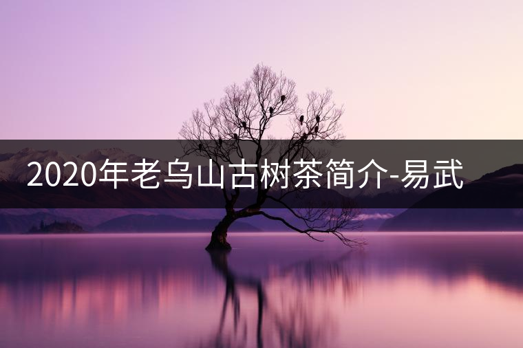 2020年老烏山古樹茶簡(jiǎn)介-易武中聘號(hào)