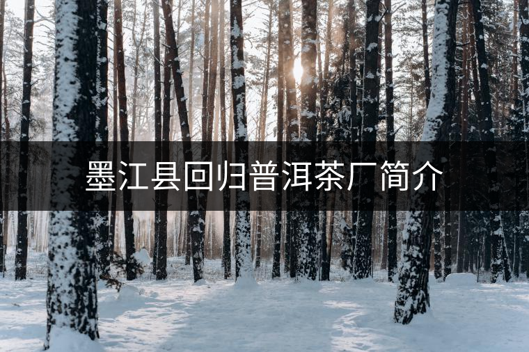墨江縣回歸普洱茶廠簡介 墨江縣回歸普洱茶廠簡介