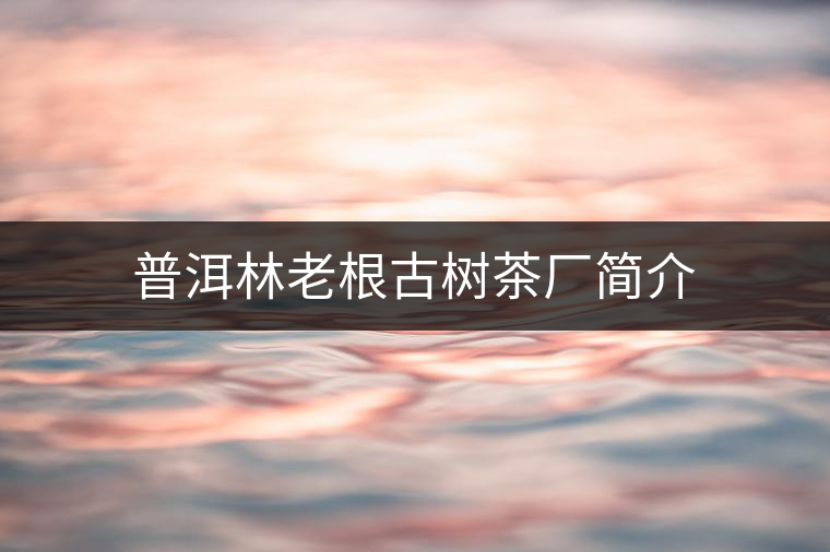 普洱林老根古樹茶廠簡介 普洱林老根古樹茶廠簡介