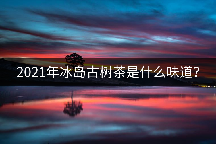 2021年冰島古樹茶是什么味道？