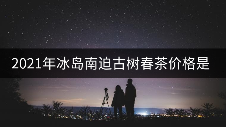 2021年冰島南迫古樹春茶價格是多少？