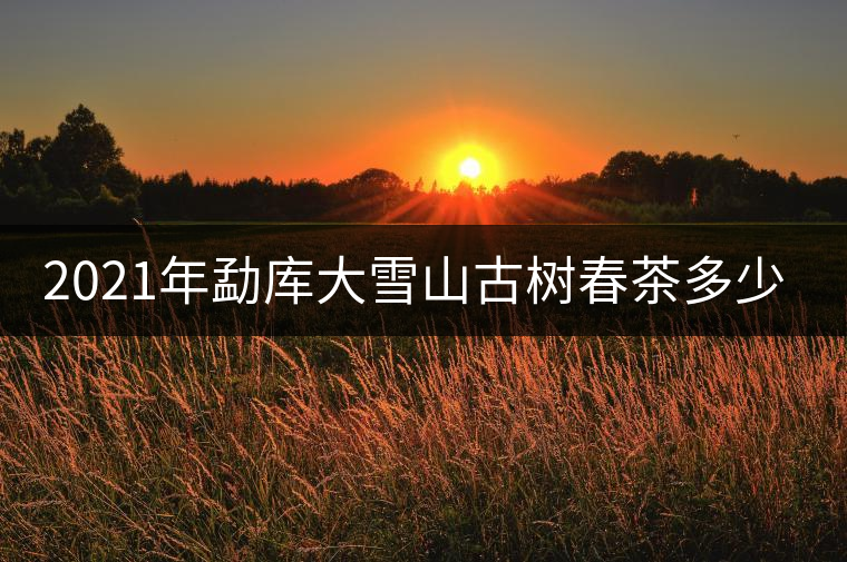 2021年勐庫大雪山古樹春茶多少錢一公斤？