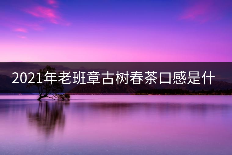 2021年老班章古樹春茶口感是什么？