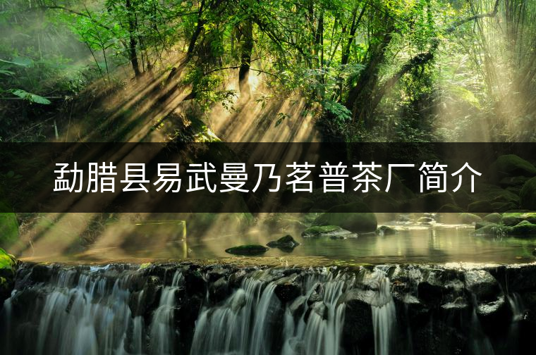 勐臘縣易武曼乃茗普茶廠簡介 勐臘縣易武曼乃茗普茶廠簡介