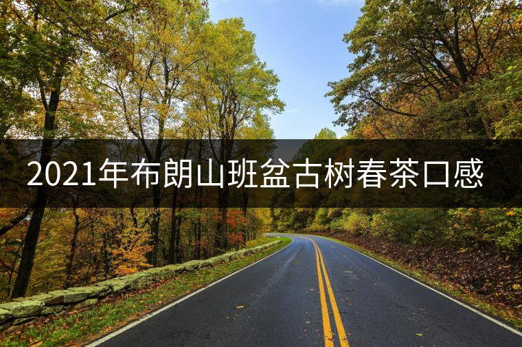 2021年布朗山班盆古樹春茶口感特點(diǎn)? 2021年布朗山班盆古樹春茶口感特點(diǎn)?