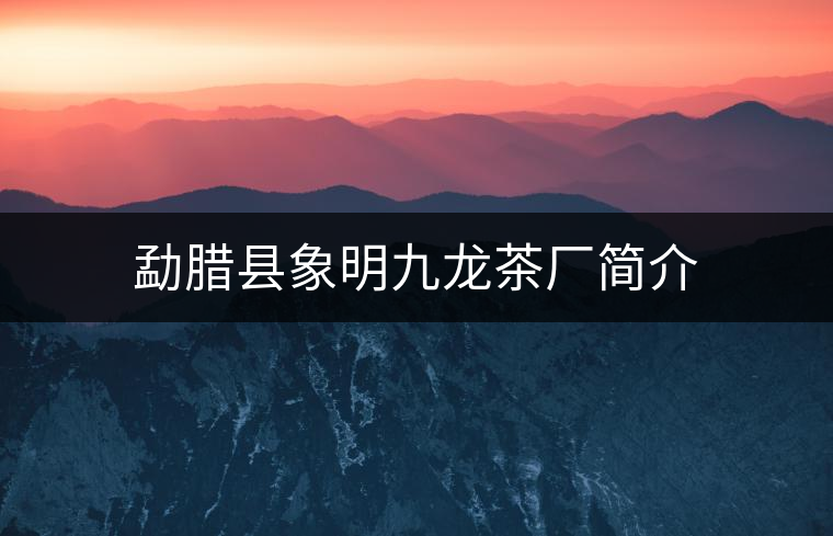 勐臘縣象明九龍茶廠簡介 勐臘縣象明九龍茶廠簡介