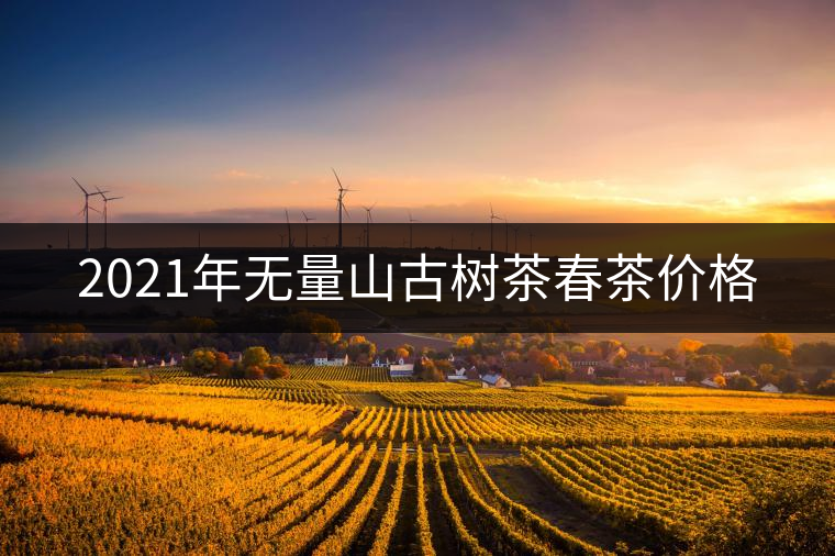 2021年無(wú)量山古樹茶春茶價(jià)格 2021年無(wú)量山古樹茶春茶價(jià)格