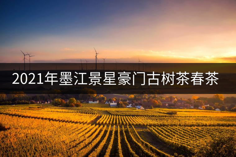 2021年墨江景星豪門古樹茶春茶價格多少錢一斤？