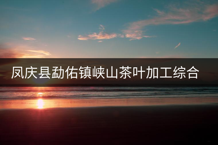 鳳慶縣勐佑鎮(zhèn)峽山茶葉加工綜合經(jīng)營部簡介 鳳慶縣勐佑鎮(zhèn)峽山茶葉加工綜合經(jīng)營部簡介