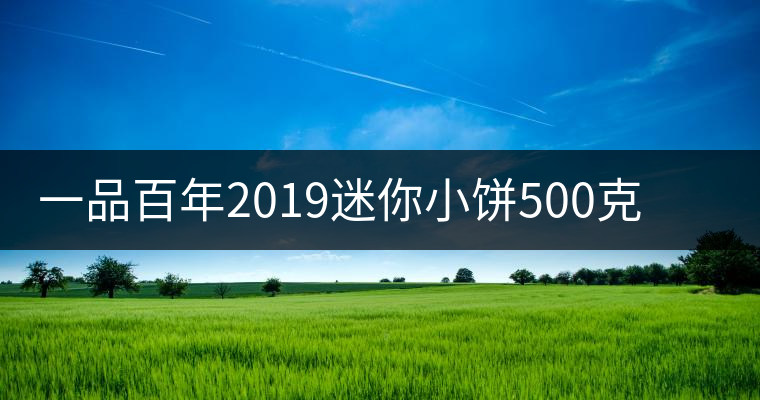 一品百年2019迷你小餅500克古樹(shù)生茶品質(zhì)好不好？