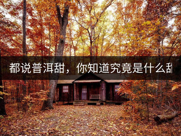 都說普洱甜，你知道究竟是什么甜嗎？