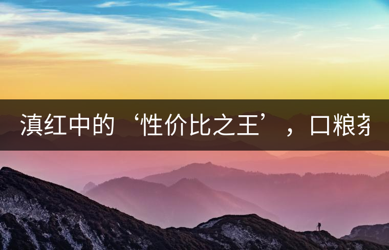 滇紅中的‘性價比之王’，口糧茶首選！