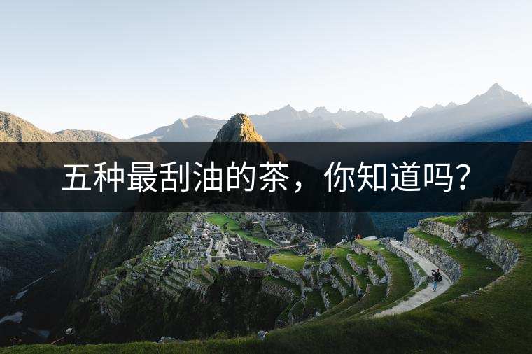 五種最刮油的茶，你知道嗎？