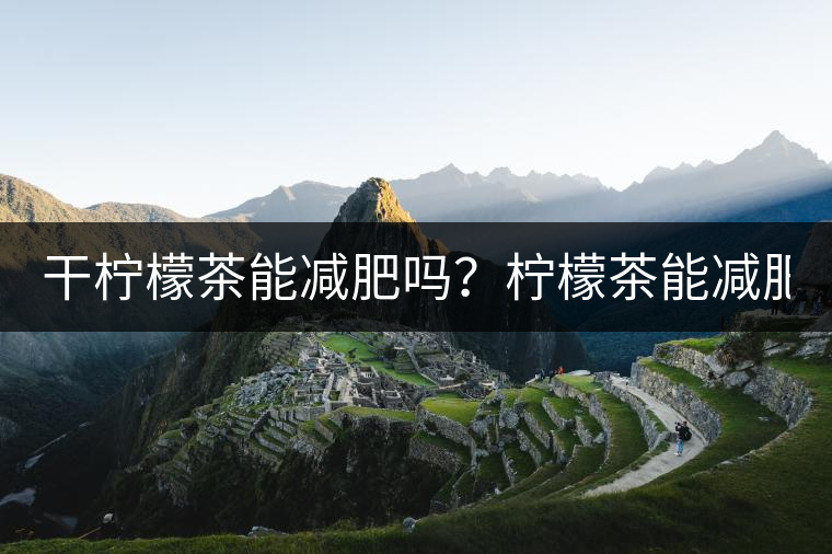 干檸檬茶能減肥嗎？檸檬茶能減肥！