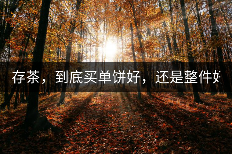 存茶，到底買單餅好，還是整件好？
