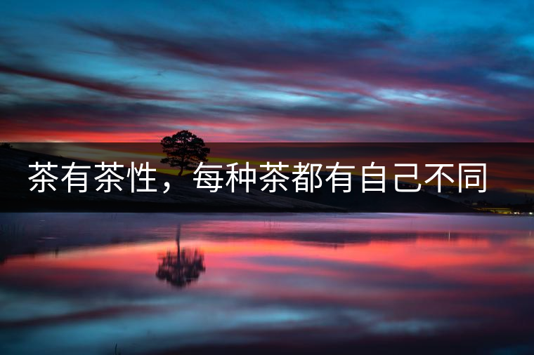 茶有茶性，每種茶都有自己不同的正確泡法
