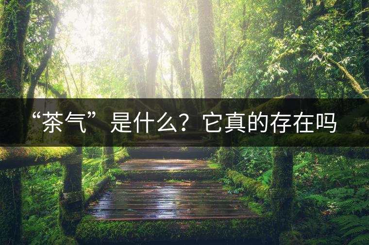 “茶氣”是什么？它真的存在嗎？
