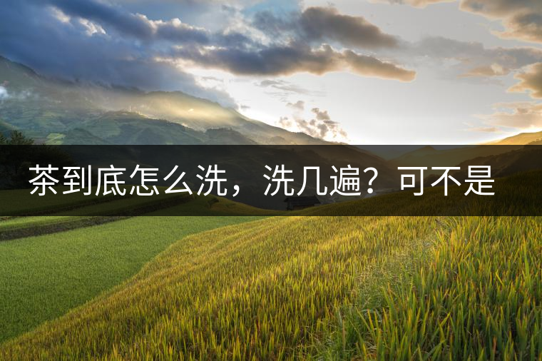 茶到底怎么洗，洗幾遍？可不是倒水進(jìn)去這么簡(jiǎn)單喲