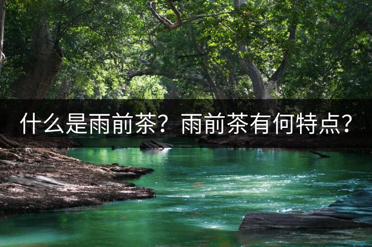 什么是雨前茶？雨前茶有何特點(diǎn)？