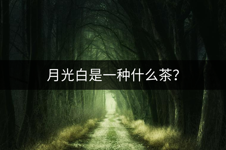 月光白是一種什么茶？