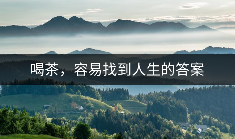 喝茶，容易找到人生的答案