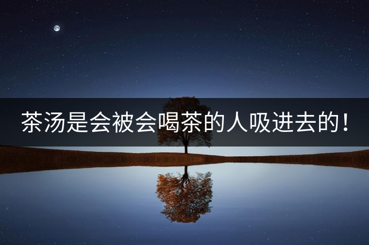 茶湯是會(huì)被會(huì)喝茶的人吸進(jìn)去的！