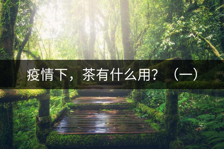 疫情下，茶有什么用？（一）