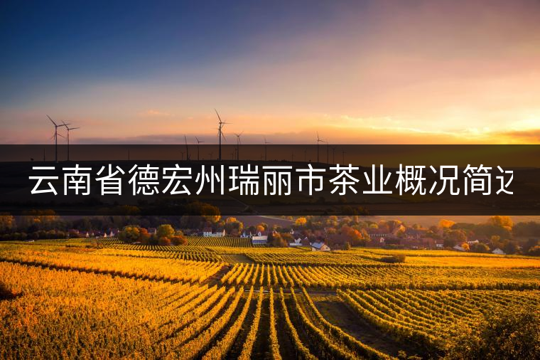 云南省德宏州瑞麗市茶業(yè)概況簡(jiǎn)述（下篇）