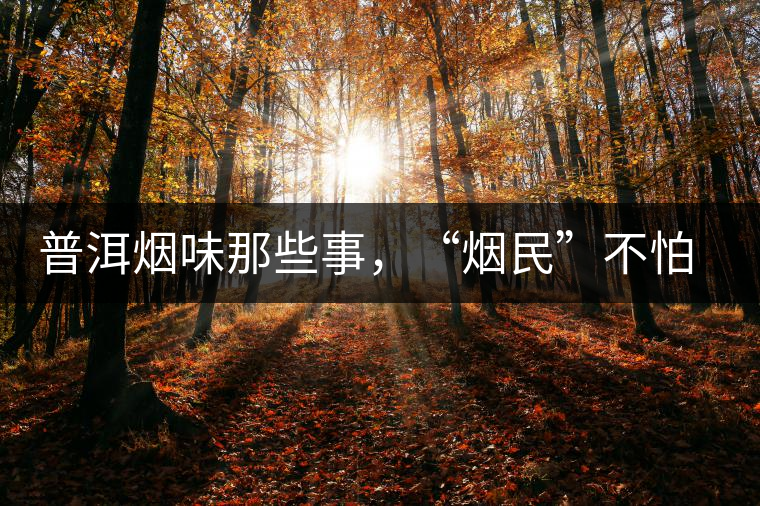 普洱煙味那些事，“煙民”不怕當(dāng)