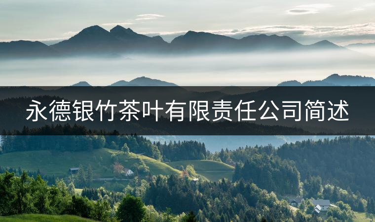 永德銀竹茶葉有限責(zé)任公司簡(jiǎn)述 永德銀竹茶葉有限責(zé)任公司簡(jiǎn)述