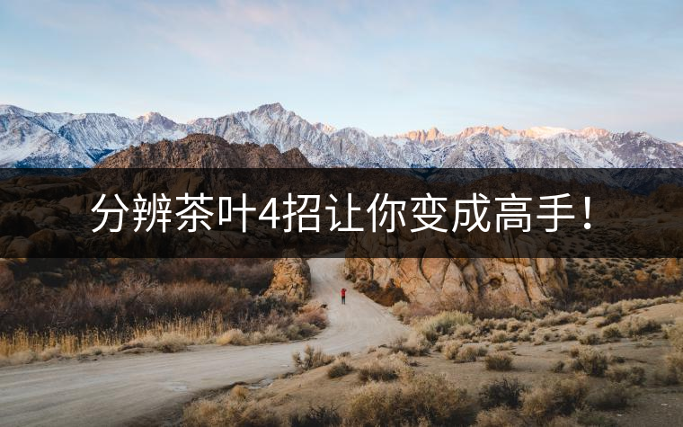 分辨茶葉4招讓你變成高手！